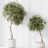 Rośliny doniczkowe Olive Artificial Olea - Pandora-land