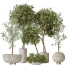 Rośliny doniczkowe Olive Artificial Olea - Pandora-land