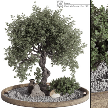 Baum und Strauch Sammlung Set 196 3D-Modell