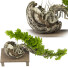 Drzewo Bonsai Collection Set 231 - mio