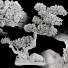Drzewo Bonsai Collection Set 232 - mio