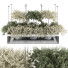 Plantes en pot suspendues Ensemble de Collection 241 - mio