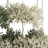 Plantes en pot suspendues Ensemble de Collection 241 - mio