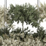 Plantes en pot suspendues Ensemble de Collection 241 - mio