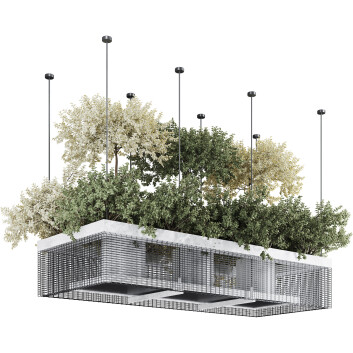 Plantas en Macetas Colgantes Conjunto de Colección 241