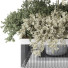 Plantes en pot suspendues Ensemble de Collection 241 - mio