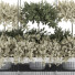 Plantes en pot suspendues Ensemble de Collection 241 - mio