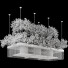 Plantes en pot suspendues Ensemble de Collection 241 - mio