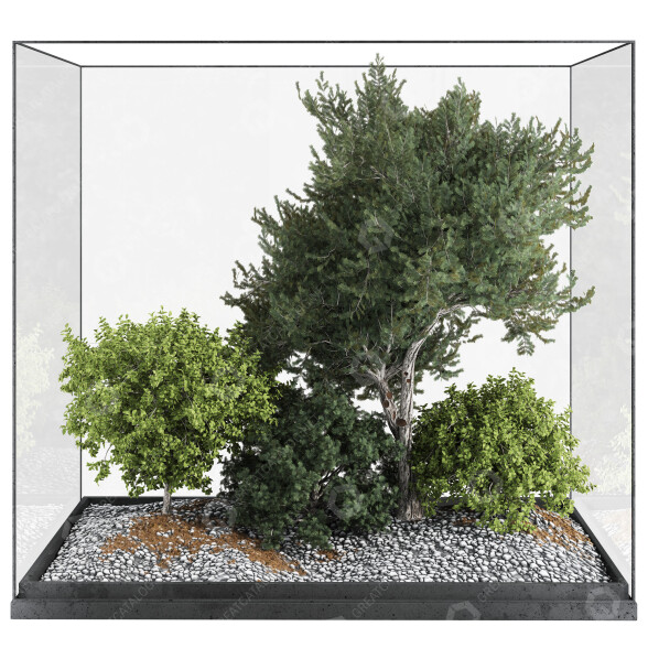 Bäume und Sträucher Sammlung Set 242 3D-Modell