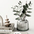 Dekor Set 61 - zelli.omid