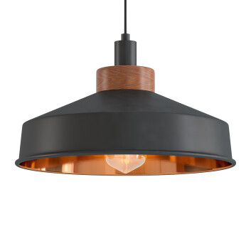 Lampe suspendue Cosmos Graphite and Copper Modèle 3D