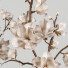 Blumensträuße Set 14 - bahartanhaee