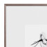Bilder Frame Set #04 - ramonfcgi-46849