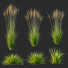 Hierba HQ Plantas 02 - Pandora-land