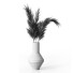 Bukiet Pampas 02 - sasname