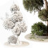 Baum und Strauch Im freien 258 - uniquevry