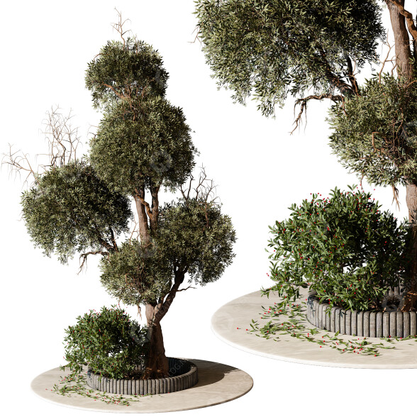 Baum und Strauch Im freien 258 3D-Modell