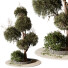 Baum und Strauch Im freien 258 - uniquevry