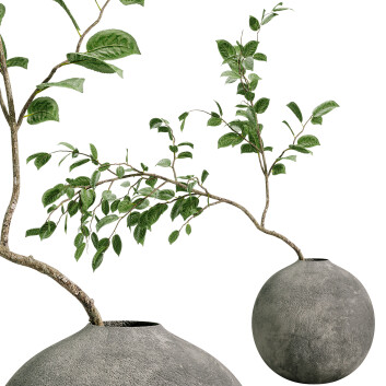 Рослина у горщику West Elm Штучна Гілка Загального Манзаніта Бобового Листа 3D модель