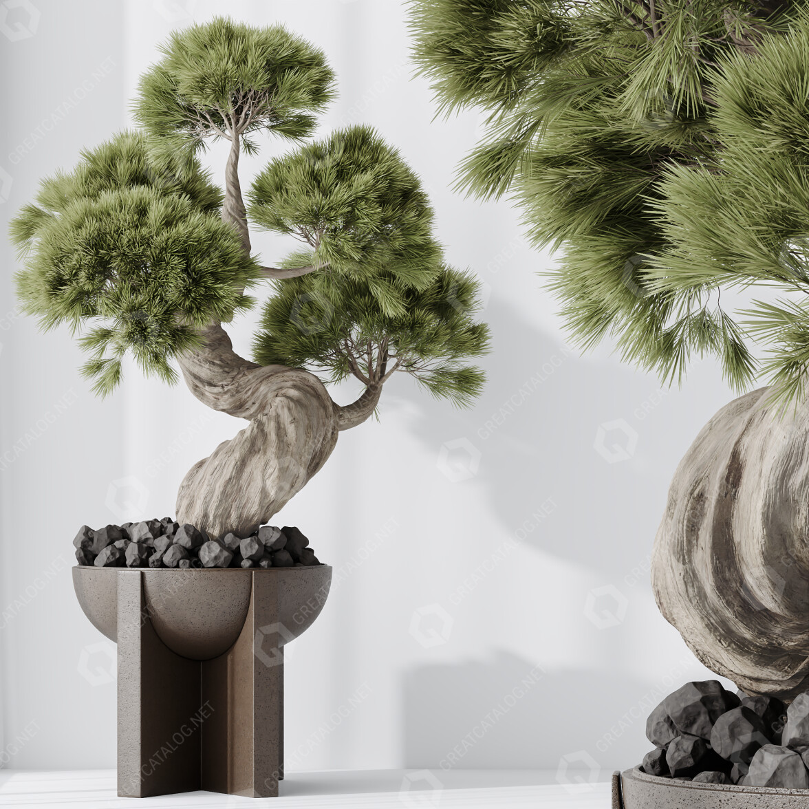 Bonsai-Baum HQ Zimmerpflanzen Kiefer Pentaphylla Thunbergii 04 3D-Modell  #46392 | GreatCatalog