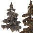 Drzewa Cedrus Deodara 03 - hyperion