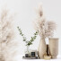 Decor Set 03 - Beatriz Martin