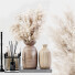 Decor Set 03 - Beatriz Martin
