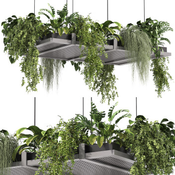 Topfpflanzen  Hängendes Innen-Set 3D-Modell