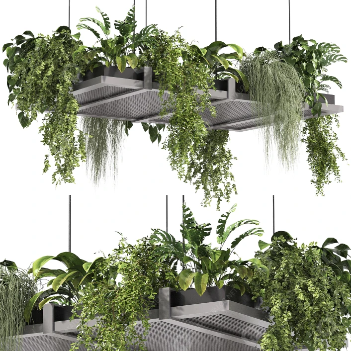3D model Potted Plants Hanging Indoor Set