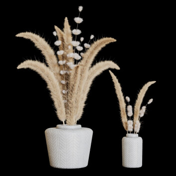 Blumensträuße Pampas 03