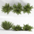 Krzewy Set 01 - 3D Artist