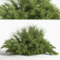 Krzewy Set 01 - 3D Artist