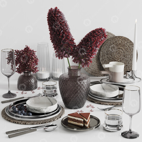 Сервірований стіл Tableware Set 004 3D модель