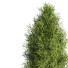 Baum und Bank Park - 3D Artist