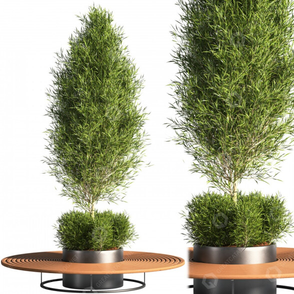Baum und Bank Park 3D-Modell
