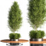 Baum und Bank Park - 3D Artist