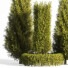 Drzewa i krzewy For Landscape - 3D Artist