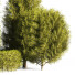 Drzewa i krzewy For Landscape - 3D Artist