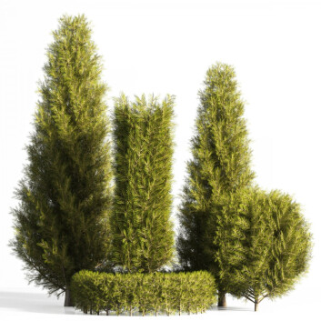 Drzewa i krzewy  For Landscape Model 3D