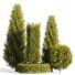 Drzewa i krzewy For Landscape - 3D Artist