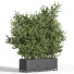 Plantes En extérieur dans boîte en métal 04 - shayan sharify