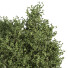 Plantes En extérieur dans boîte en métal 04 - shayan sharify