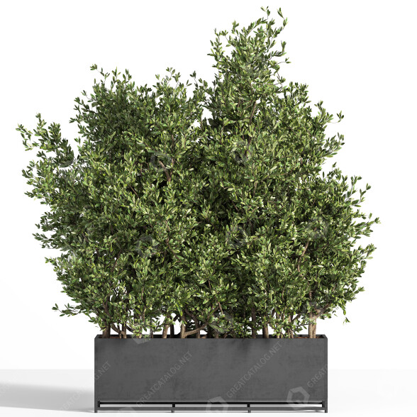 Plantes En extérieur dans boîte en métal 04 modèle 3D