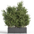 Plantes En extérieur dans boîte en métal 04 - shayan sharify