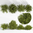 Buissons Buisson 02 - shayan sharify