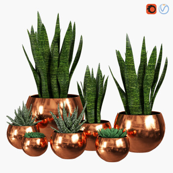 Plantes en pot  Vase 01 Modèle 3D
