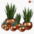 Topfpflanzen Vase 01 - reyhaneh2004