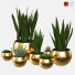 Topfpflanzen Vase 02 - reyhaneh2004