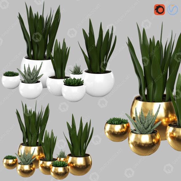 Topfpflanzen Vase 02 3D-Modell