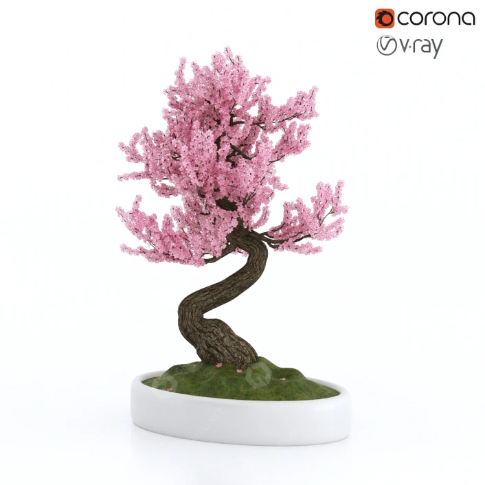 Bonsai-Baum Sakura 3D-Modell #48034 | GreatCatalog